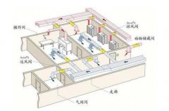 實(shí)驗(yàn)室規(guī)劃一定要做好通風(fēng)措施